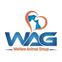 WAG - Welfare Animal Group chat bot