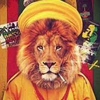 RastaMan algeria chat bot