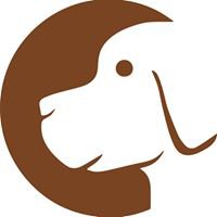 Support Pit Bull Rescue and Adoption chat bot