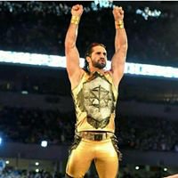 The Architect - Seth Rollins chat bot