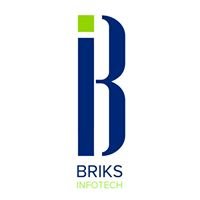 BRIKS Infotech chat bot