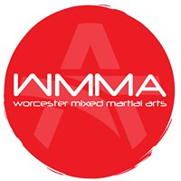 Worcester Mixed Martial Arts (MMA) chat bot