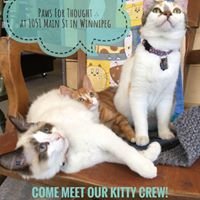 Paws For Thought Boutique For Pets chat bot