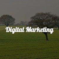 Digital-Marketing-News chat bot