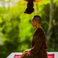 meditation4patience chat bot