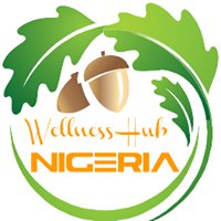 Wellness Hub Nigeria chat bot