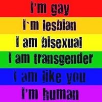 Same sex marriage chat bot