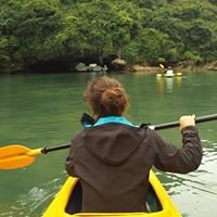 Nam Travel Hai Phong chat bot