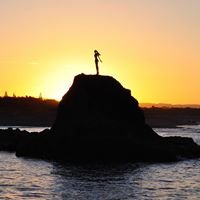 WHAKATASTIC! chat bot