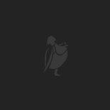 richardAcquah design chat bot