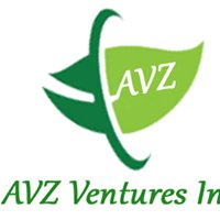 AVZ Ventures - Cebu chat bot