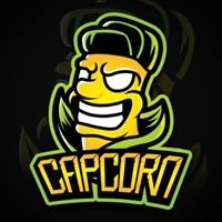 Team Capcorn chat bot
