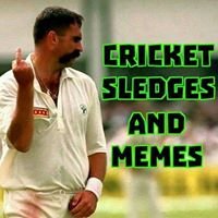 Cricket Sledges and Memes chat bot