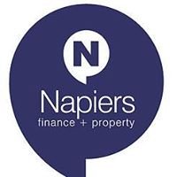 Napiers Property Services chat bot
