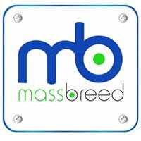 Massbreed - Pvt Ltd chat bot