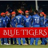 Blue Tigers chat bot