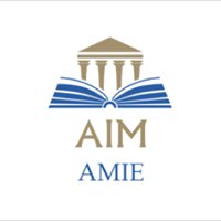 AIM AMIE chat bot