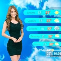Weather Forecast New York City chat bot