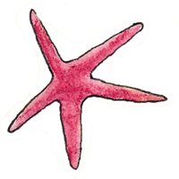 Addison's Starfish Adventure chat bot