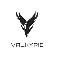 Valkyrie chat bot