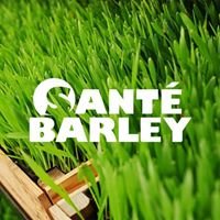 Sante Barley Hong Kong chat bot