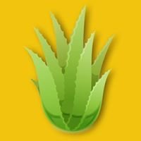 The Aloe Spot chat bot