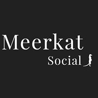 Meerkat Social chat bot