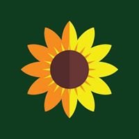 Sunflower Ventures Coaching and Lifestyle Management chat bot