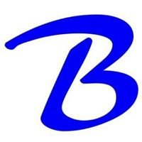 Blinkharm Transport Service chat bot