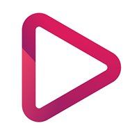 Video Holics chat bot