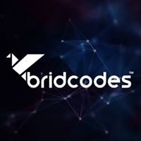 Bridcodes chat bot