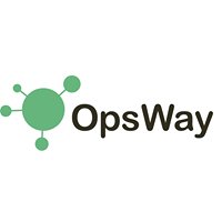OpsWay - Ecommerce Ecosystem Experts chat bot