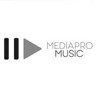 MediaPro Music chat bot